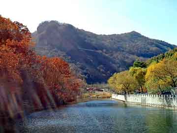 巾幗不讓須眉，男明星風(fēng)采與男同群體在ITools中的實(shí)時(shí)延遲探討